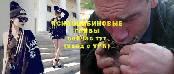 сатива Балахна