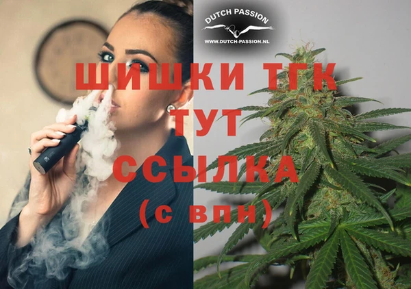 дурь Дмитриев