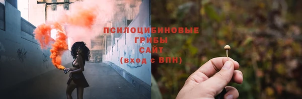 сатива Балахна