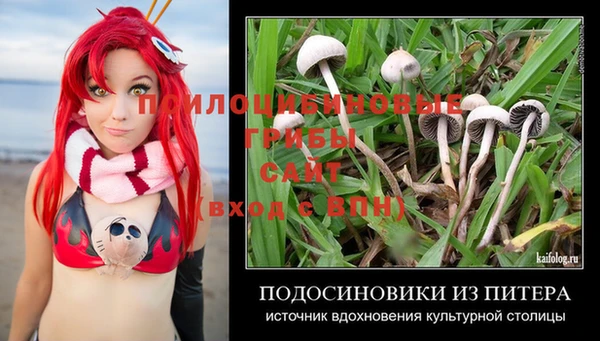 сатива Балахна