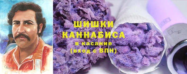сатива Балахна