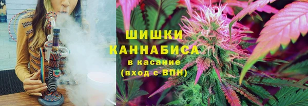 сатива Балахна
