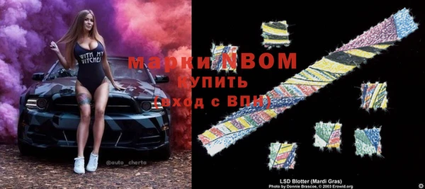 сатива Балахна