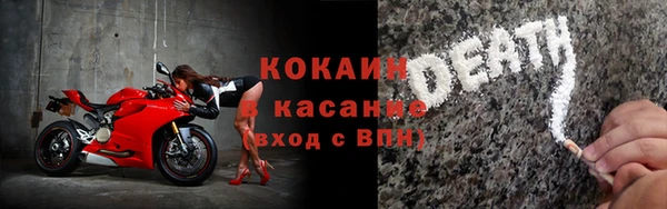 сатива Балахна